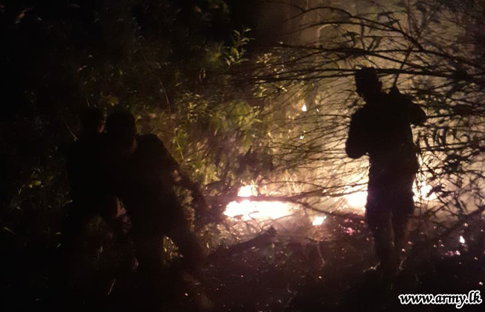 Muthurajawela Wild Fire Extinguished
