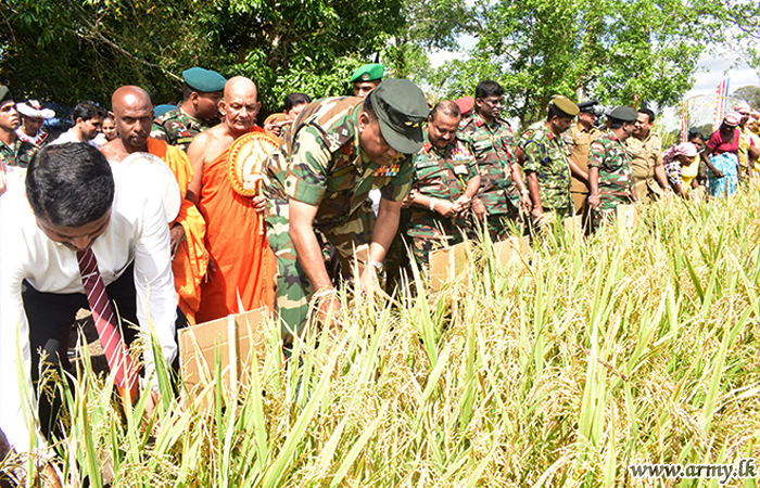 Temple in Wanni Initiates Project to Assweddumize Abandoned Paddy Fields