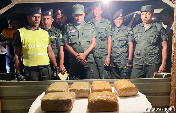 படையினரால்  கேரல கஞ்சா கைப்பற்றல்