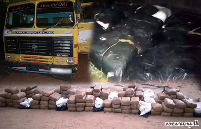 Kilinochchi Troops Detect Biggest Haul of 323 kg of Cannabis  