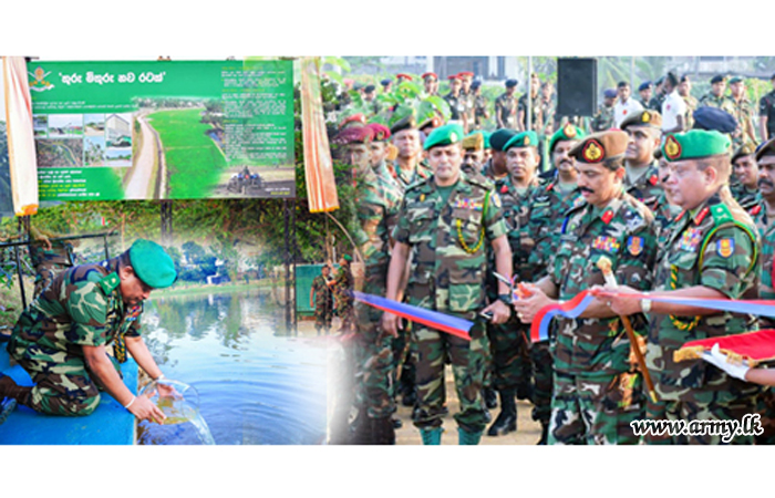 ‘Thuru Mithuru - Nawa Ratak’ Phase - 3 Opens Public Utilities, Plants more Saplings & Beautifies Entire Area  