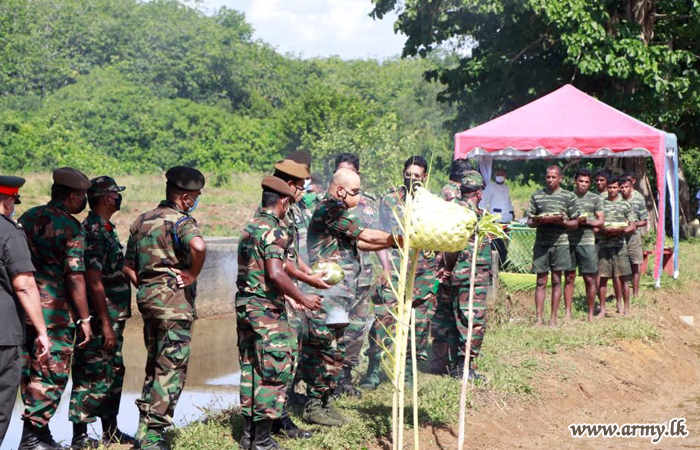 Unattended Land Turned into a Paddy Field at Panaluwa Army Camp 