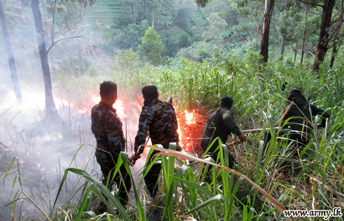 Army and Air Force Troops Douse Sudden Bush Fire in Bandarawela