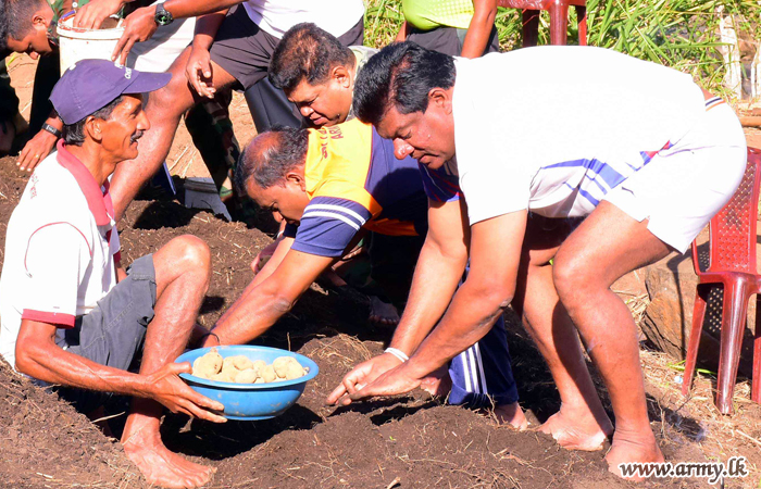 Central Troops Begin Cultivation of Potatoes 