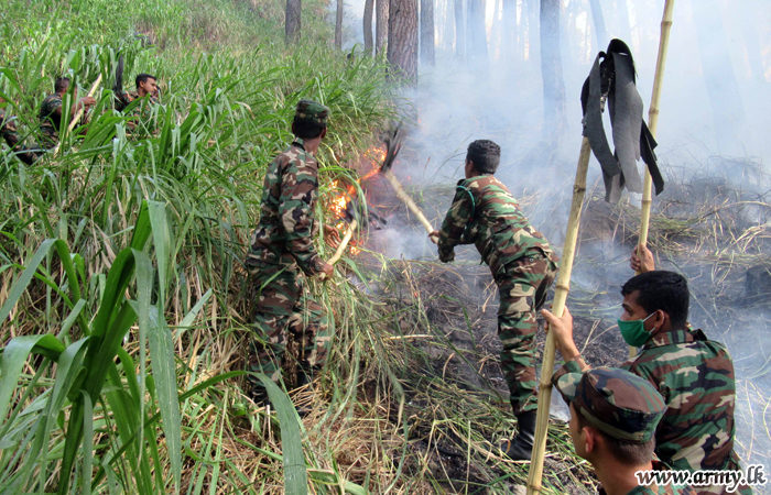 මධ්‍යම ආරක්‍ෂක සේනා මුලස්ථානයේ භටපිරිස් හදිසියේ ඇති වූ ලැව් ගින්නක් මැඩපවත්වයි