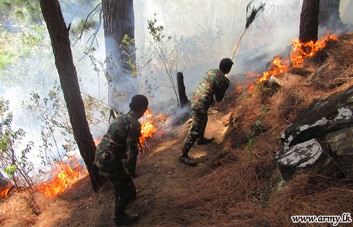 Central Troops Douse Two Breakouts of Fire