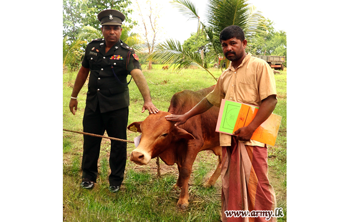 ශ්‍රී ලංකා යුද්ධ හමුදා පොදුසේවා බලකායේ කුට්ටිගල පිහිටි ගොවිපලෙන් විවිධ දුෂ්කරතා ඇති පවුල්වල ජීවනෝපාය ඉහළ නැංවීමට එළදෙනුන් විසිදෙනෙකු බෙදා දෙයි