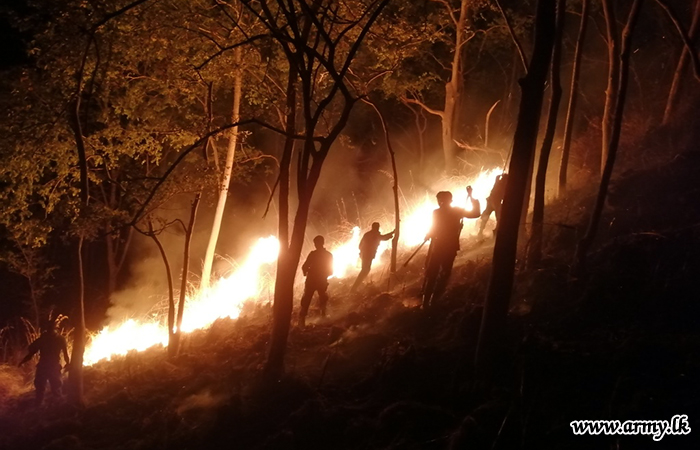 Dambagalla Bush-fire Extinguished 