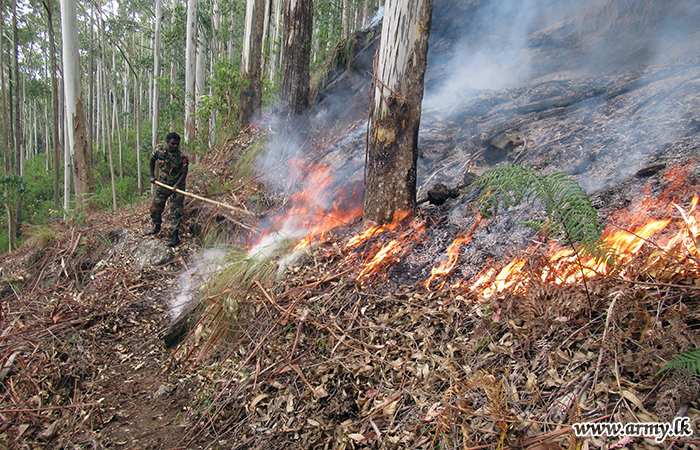 SFHQ-Central Troops Bring Bush-Fire Under Control