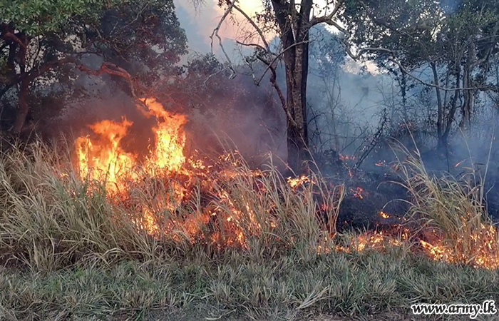Bush Fire Near Minneriya Sanctuary Extinguished