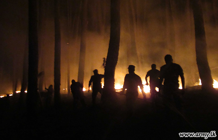 Central Troops Extinguish Sudden Bush Fire