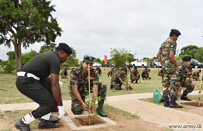 54 වන සේනාංකයේ සංවත්සවරය සමගාමීව වල්පත්තුව රක්‍ෂිතයේ රුක් රෝපණ ව්‍යාපෘතියක් 