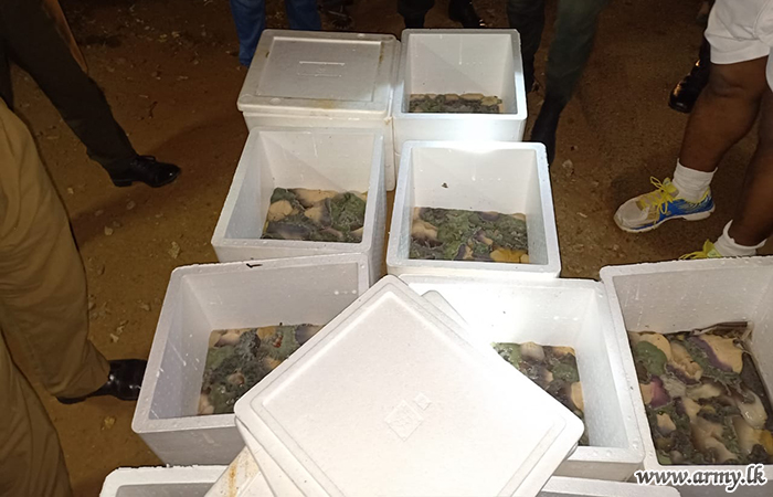 Army Troops Apprehend Bus Conductor with Jelly Fish 