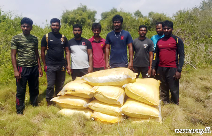 கடத்தப்பட்ட மஞ்சள் மற்றும் கேரள கஞ்சா இராணுவத்தினரால் கைப்பற்றல்