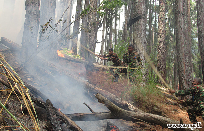 Central Troops Extinguish Bush Fire in Haldummulla