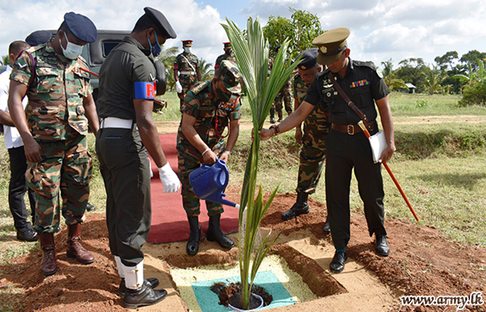 56 Division Plants Coconut Saplings on Anniversary Day