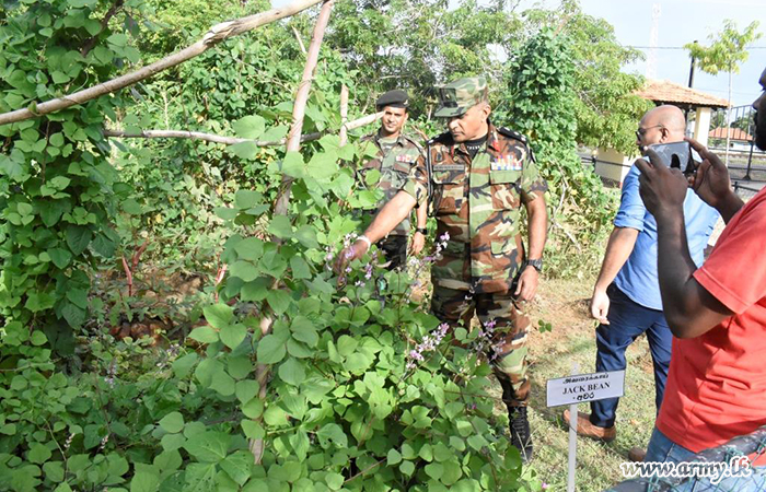 Army-Supported 'Green Garden' inside Hospital Compound Collects First Harvest