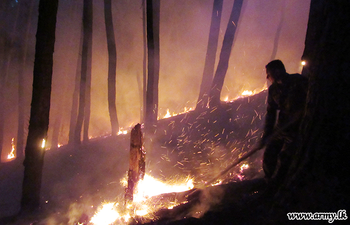 Central Troops Extinguish Sudden Bush Fire