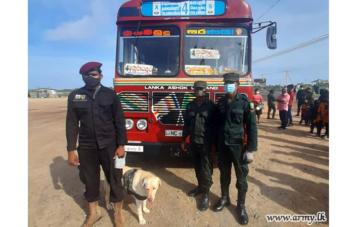 Mannar Troops Detect More Smuggled Cannabis