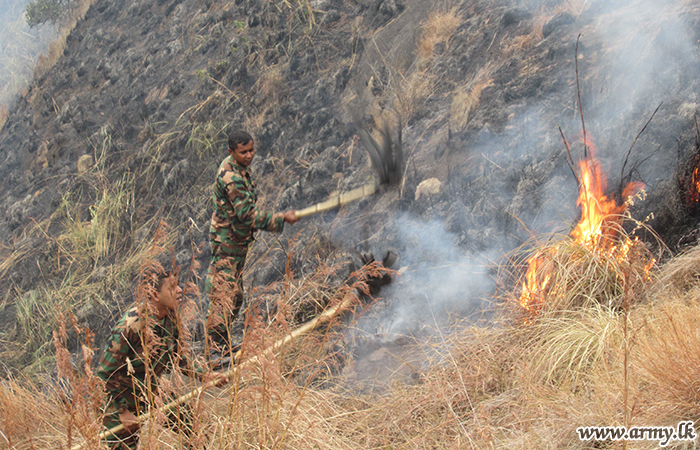 Central Troops Extinguish Sudden Bush Fire