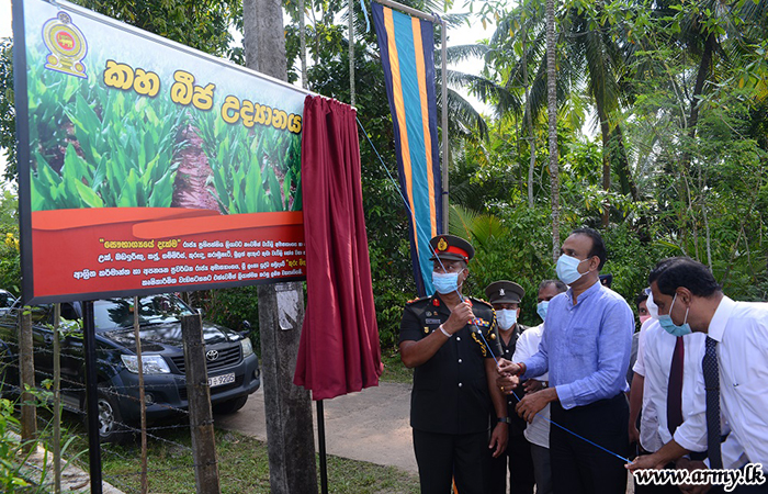 அரசு ஆதரவுடன் விவசாய பணிப்பகம் மஞ்சள் பயிர்செய்கை 