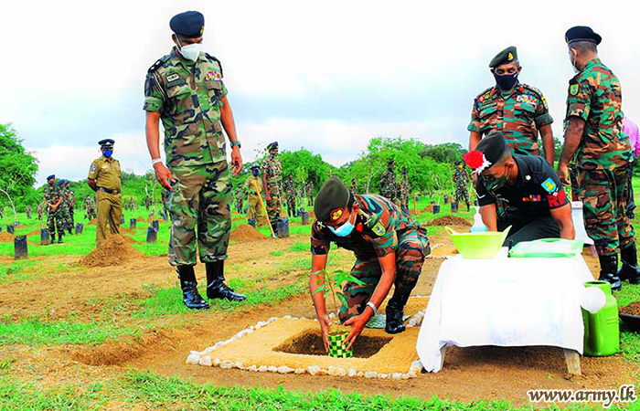 Mammoth Contribution to 'Thuru Mithuru Nawa Ratak' Plants 100,000 Saplings