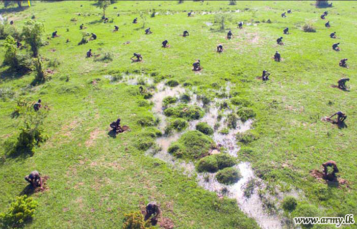 Mammoth Contribution to 'Thuru Mithuru Nawa Ratak' Plants 100,000 Saplings  | Sri Lanka Army