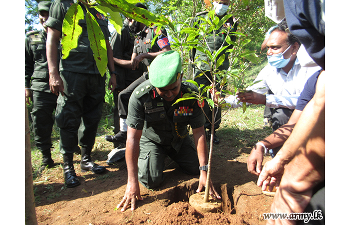 12 වන සේනාංකයේ භටපිරිස් වැල්ලවාය ප්‍රදේශයේ පැළ සිටුවීමේ ව්‍යපෘතියක් දියත් කරති