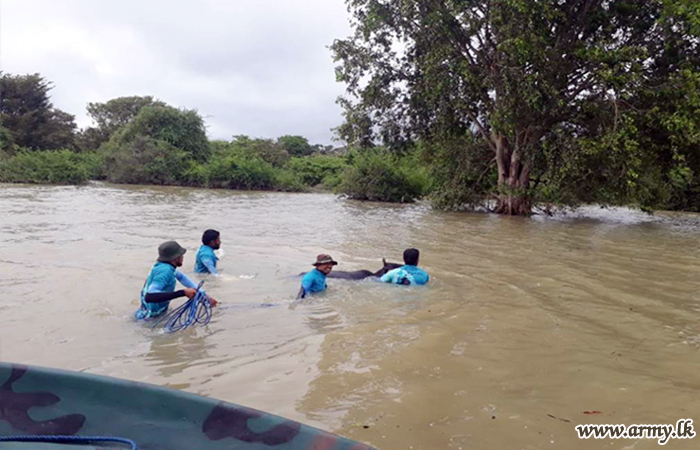 ගංවතුරට හසු වූ ගවයින් 413 දෙනෙකු බේරාගැනීමට යුද්ධ හමුදා භටපිරිස් සමත් වෙති