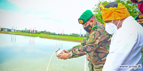 யாழ்பாணத்தில் கைவிடப்பட்ட குளம் இராணுவத்தினரால் புனரமைத்தமைக்கு  விவசாயிகள் பாராட்டு தெரிவிப்பு  