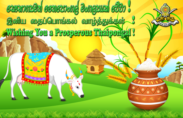 Wishing You a Prosperous Thaipongal !