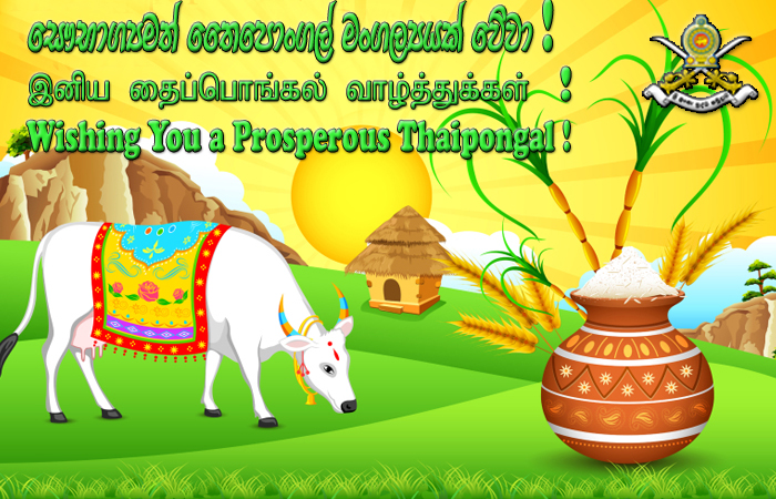 May God Bless Your  'Thaipongal' with Abundant Wealth, Health & Prosperity !
