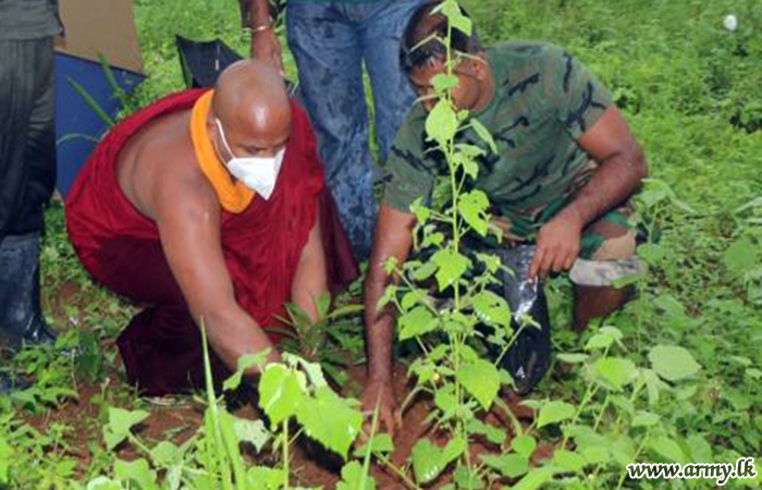 21 Division Troops Plant Saplings around Anuradhapura Tank Catchment Areas 
