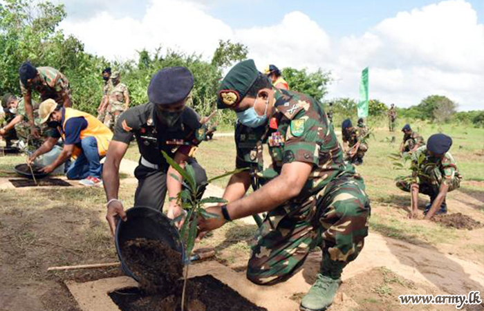 One More Land Patch in Wilpattu Forest Reserve Re-planted with Lions Club Members