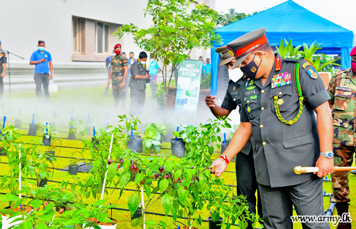 Transforming Troops to Execute Nation-Building Tasks, Maiden Corps of Agriculture and Livestock Raised in the Army
