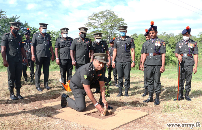 முதலாவது இலங்கை இராணுவ பொது சேவை படையினரால் மர நடுகை பணிகள் 