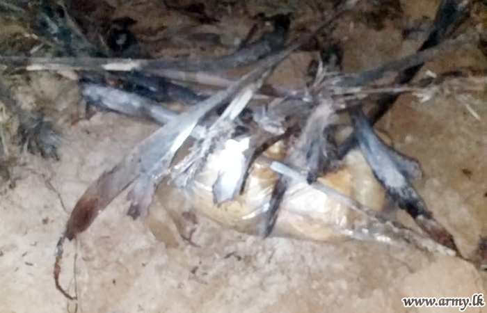 10 கிலோ கஞ்சா கைப்பற்றல்  