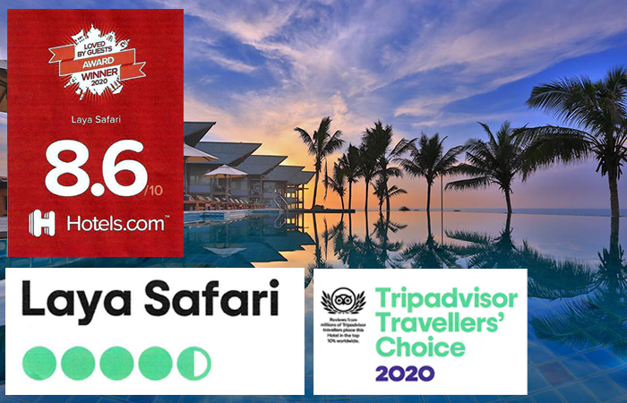 ‘Laya Safari’ Once Again Emerges Winner of the ‘Booking.com Traveller’ Award