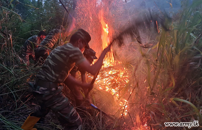 Army Troops Douse Forest Reserve Fire