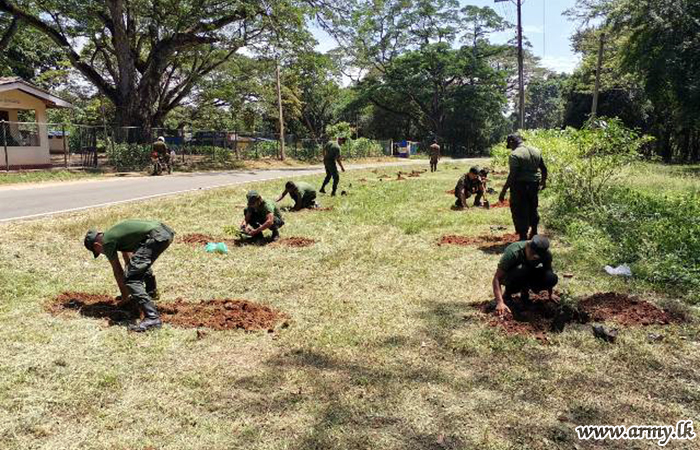 'Thuru Mithuru Nawa Ratak' Plants 900 Saplings in Buttala Raja Maha Vihara Premises