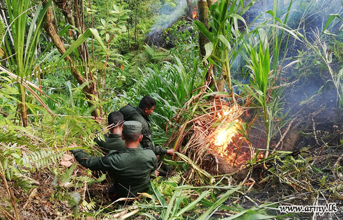 Field Engineer Troops Bring Bushfire Under Control  