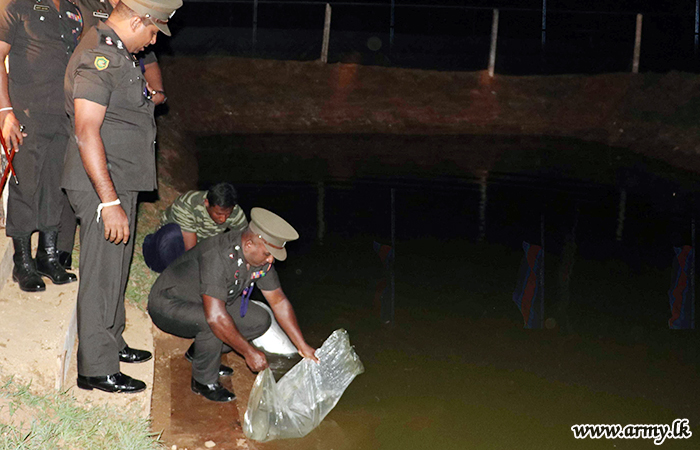 அலங்கார மீன் வளர்ப்பு ஊக்குவிப்பு 