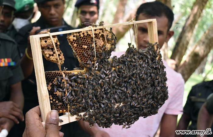 64 Division Troops with Ex-combatants Learn About Bee Keeping