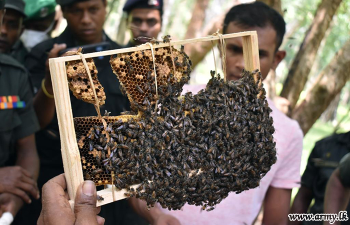 64 வது படைப்பிரிவின் படையினர்   முன்னாள் போராளிகளுடன் இணைந்து  தேனி வளர்ப்பு  பட்டறையில் பங்கேற்பு