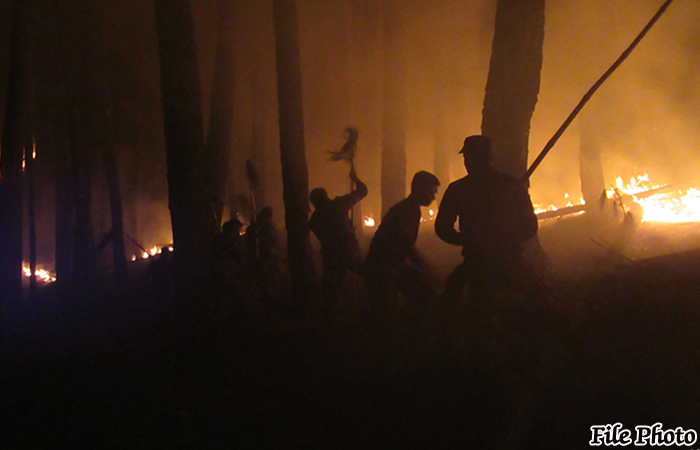 Central Troops Bring Bush-fire Under Control  