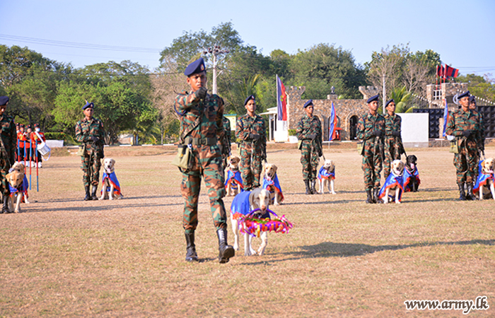 Dog Handlers Pass Out & Chief Guest Opens New Veterinary Hospital for Explosive Detection Dogs 