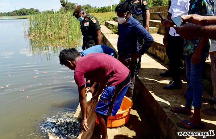 571 Brigade Troops Support Livelihood Releasing Fingerlings to Tank