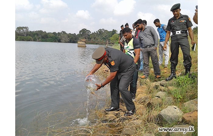 572 Brigade Troops with Aquaculture Officials Release More Fingerlings in Kilinochchi