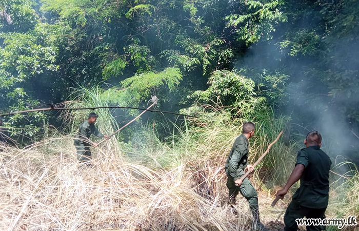 12 Division Troops Extinguish Medagama Mountain Bush-fire 