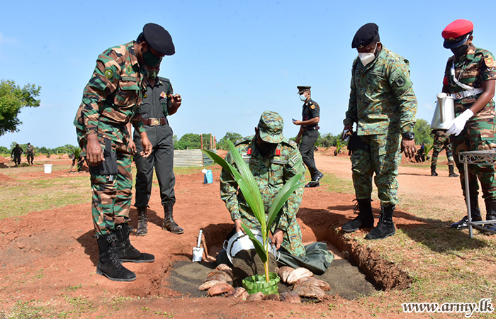 தரிசு நிலங்களில் தென்னம் பிள்ளைகள் நாட்டி பசுமையாக்கிய படையினர்